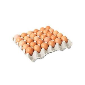Fresh Chicken Eggs