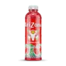 Watermelon_Tall-Boy_Product-Image_01_1.png